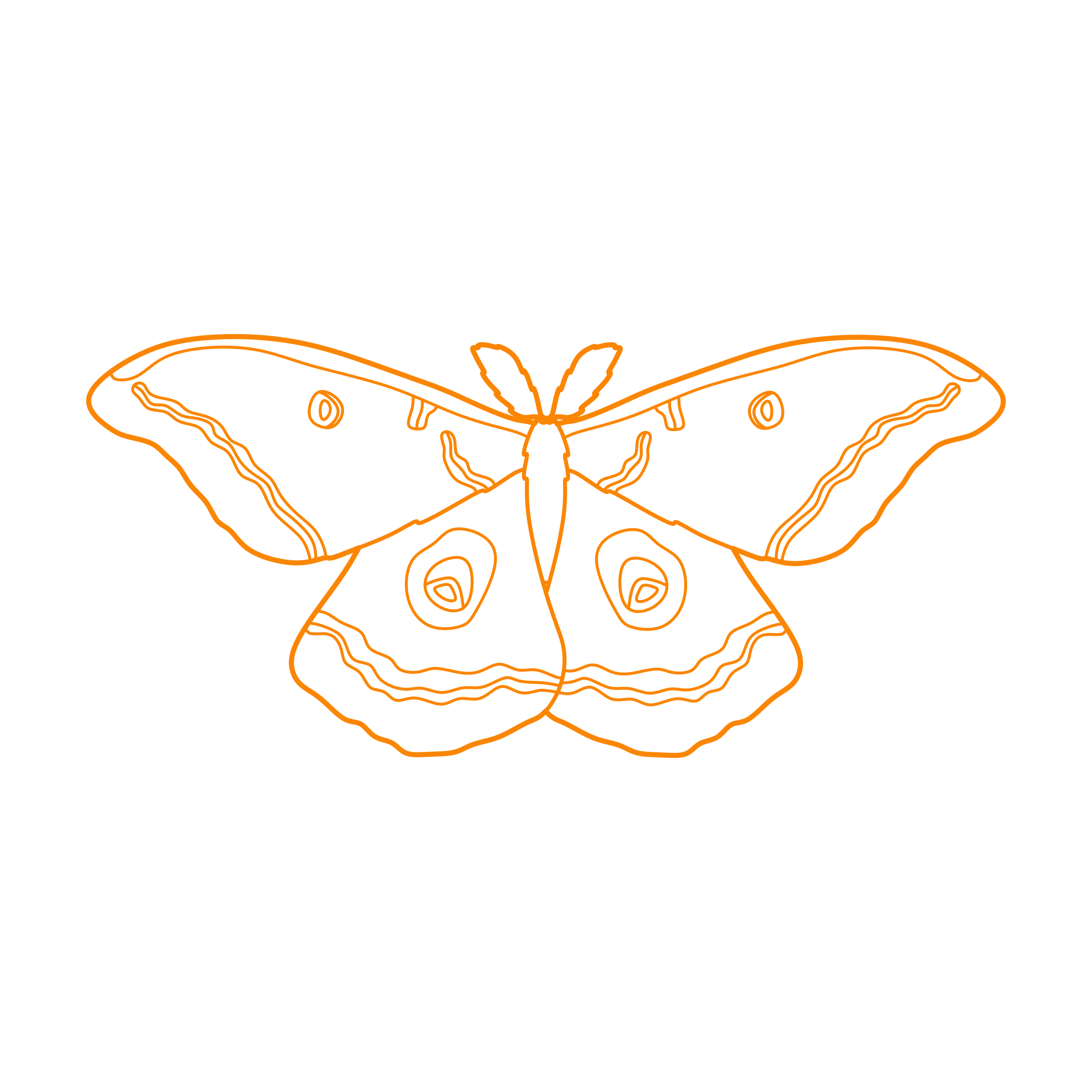 Animals Insects Polyphemus Moth Stencil Svg Vector Free Vectors